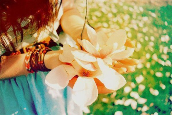 Нежные цветы в руках