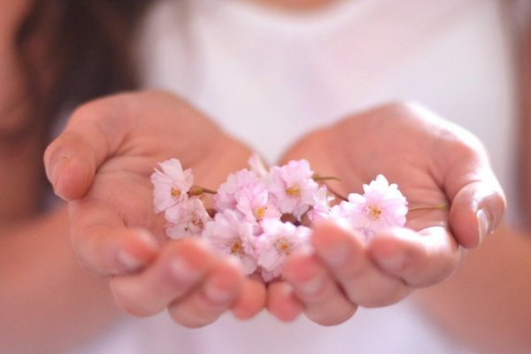 Девушка в поле с цветами