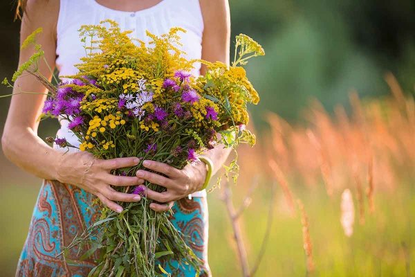 Силуэт девушки в цветах
