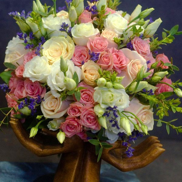 Калина Цветущая бульденеж