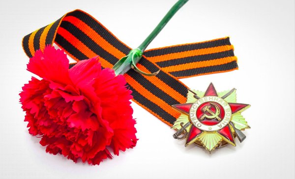 Гвоздики с георгиевской лентой