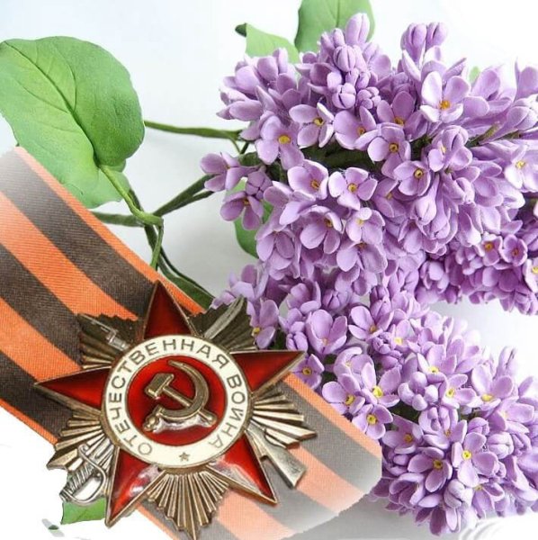 Сирень день Победы