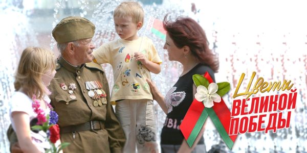 Цветок Победы Беларусь