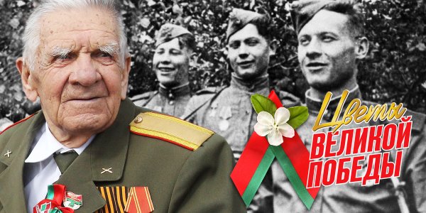 Цветок день Победы