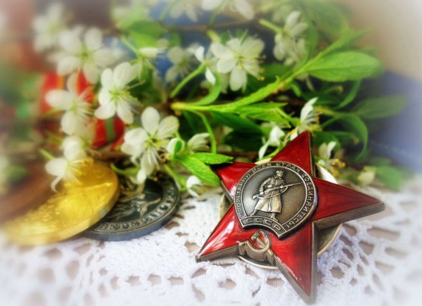 Памятники с вечным огнем Великой Отечественной войны