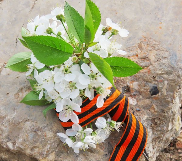 С днем Победы Беларусь