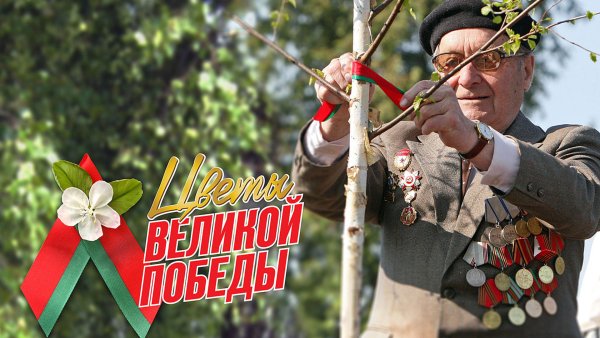 9 Мая день Победы