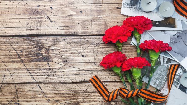 Красные гвоздики и Георгиевская ленточка