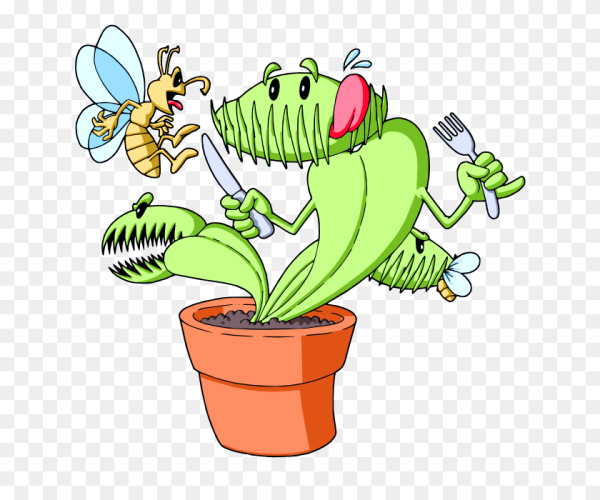 Венерина мухоловка монстр