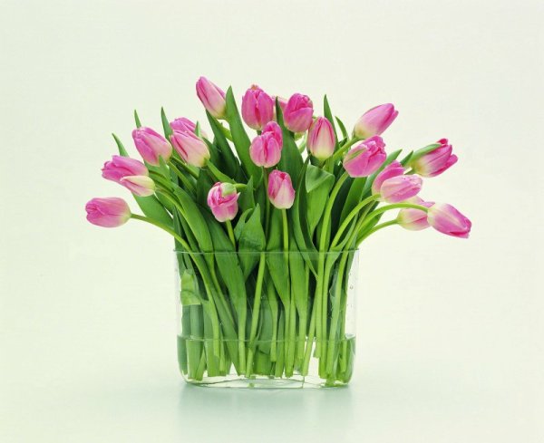 Картинка поздравляем