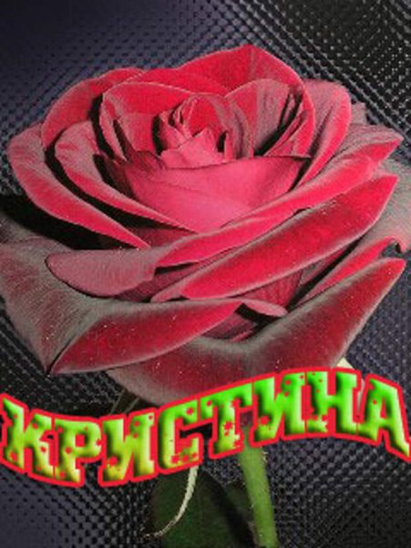 Цветочки для Кристины