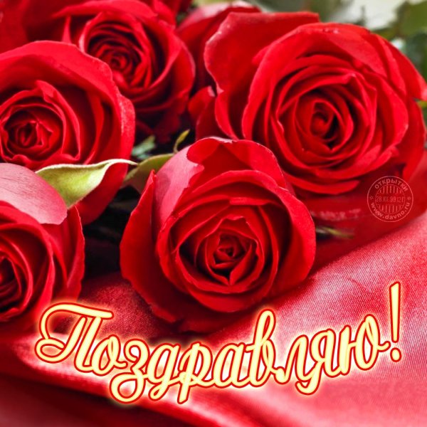 Цветы для любимой женщины