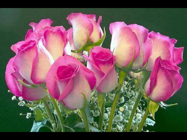 С днём рождения Кристина