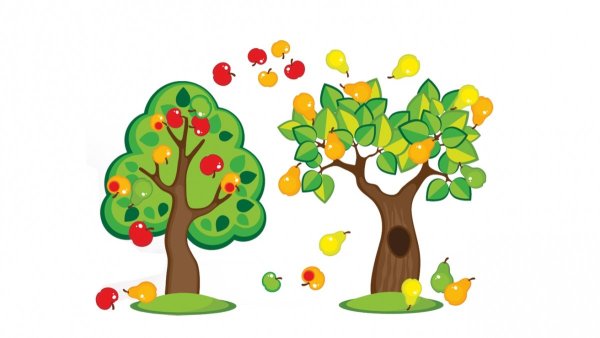 Плодовые деревья для дошкольников