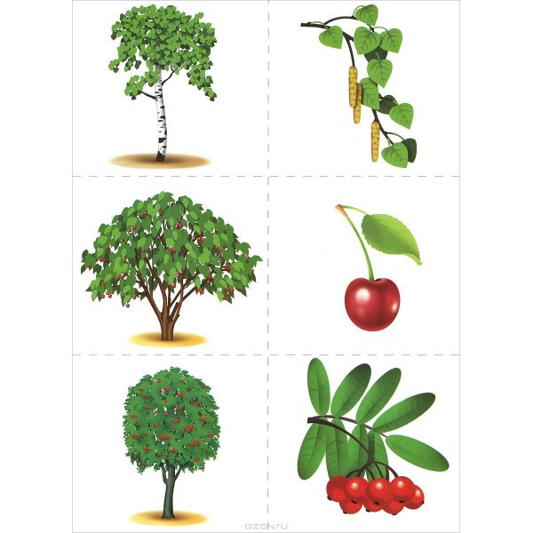 Игра с какой ветки детки