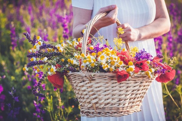 Екатерина Чернышева художник Ландыши