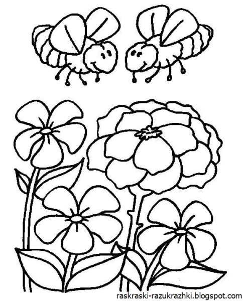 Цветы раскраска для детей