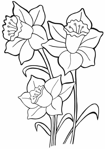 Весенние цветы раскраска