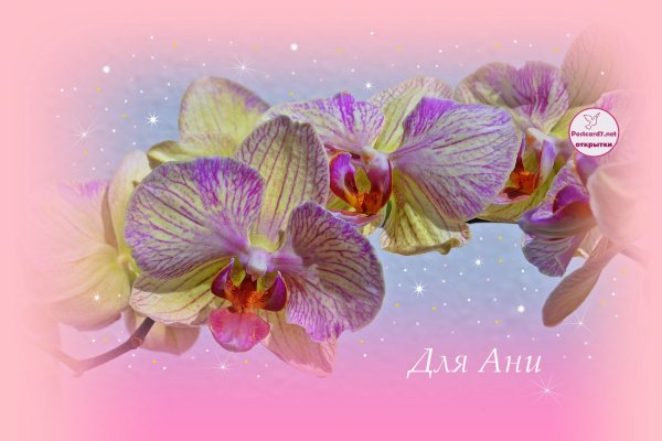 Букет цветов для Анечки