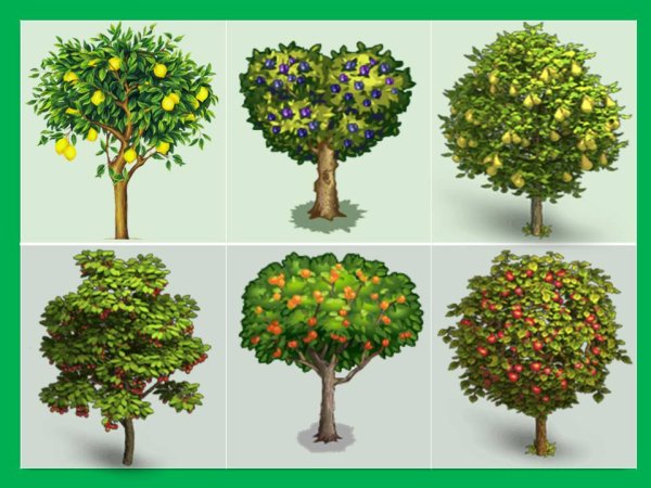 Деревья для детсада