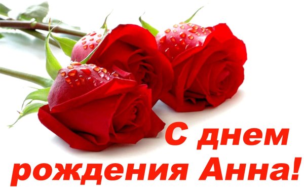 Завораживающие розы