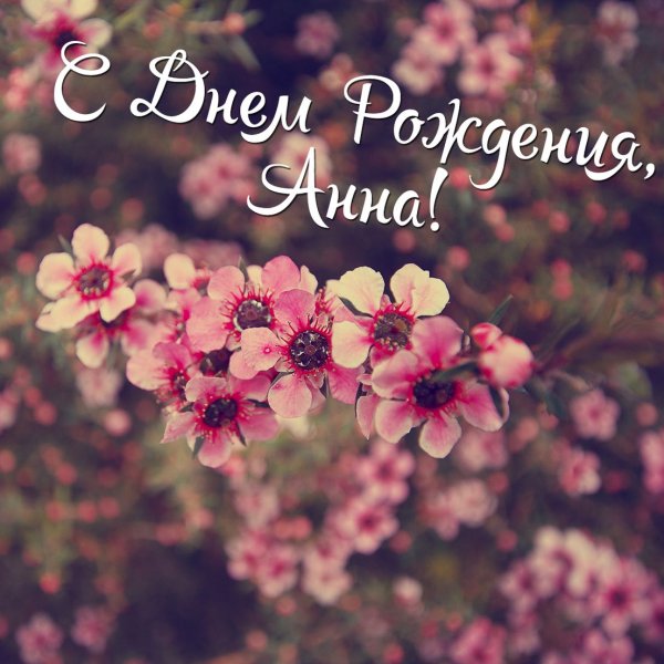 С днём рождения Анюта