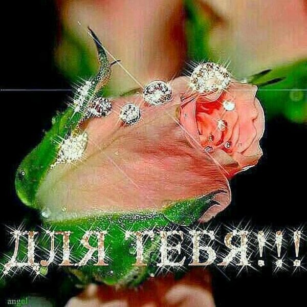 Сверкающие незабудки