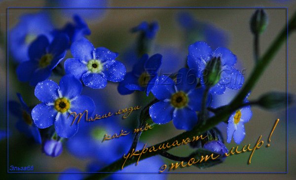 С днём рождения Анечка