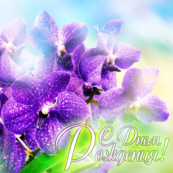 Открытки для Ирины