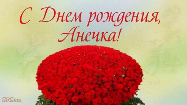 Фиалка букет незабудок