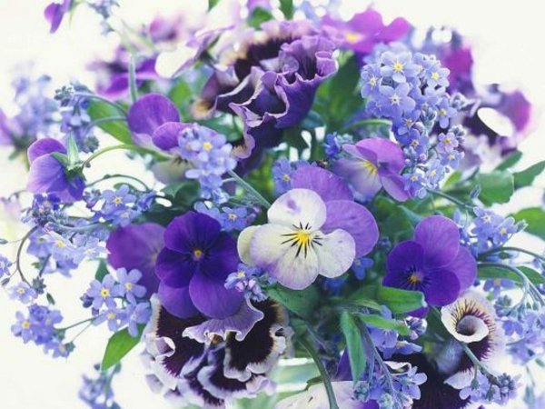 Поздравление с днём рождения огромный букет