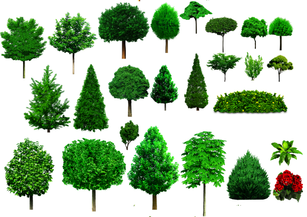 Игра с какой ветки детки