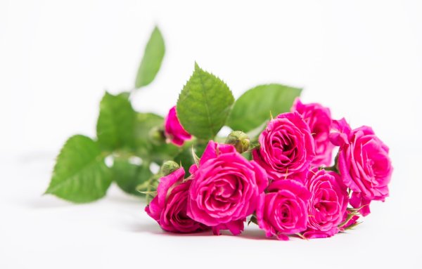 Розы срезанные