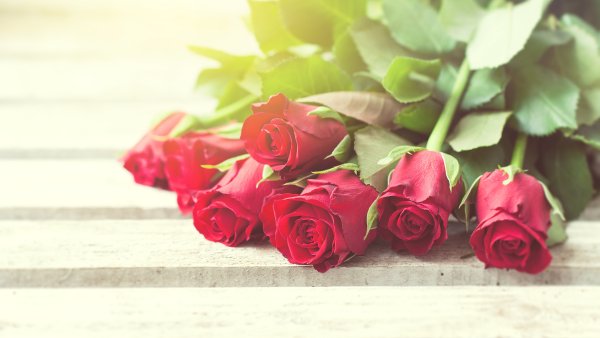 Цветы лежат