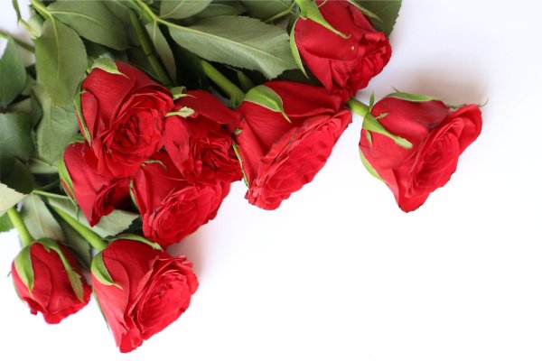 Цветы лежат на столе