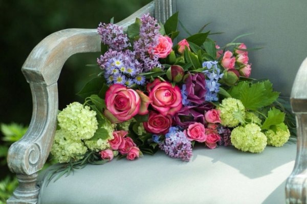 Красные розы на белом фоне