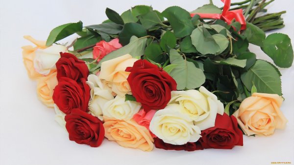 Красные розы лежат на столе