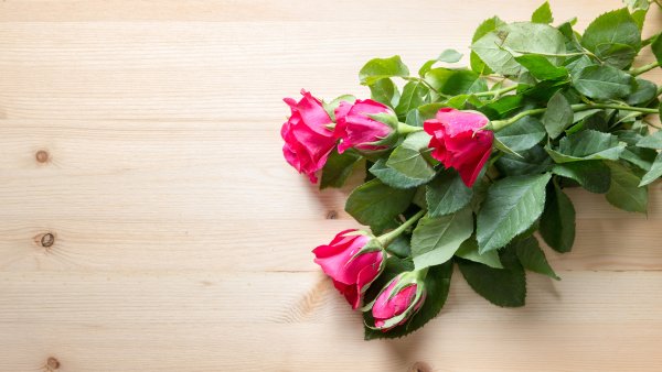 Розовые цветы