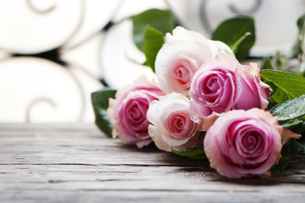 Роза в каплях