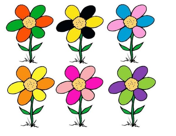 Цветы для дошкольников