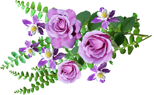 Живые цветы на прозрачном фоне