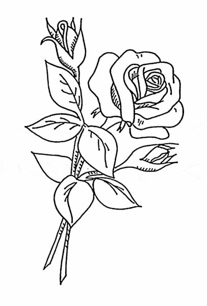 Цветы для выжигания