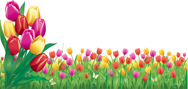 Орнамент из тюльпанов