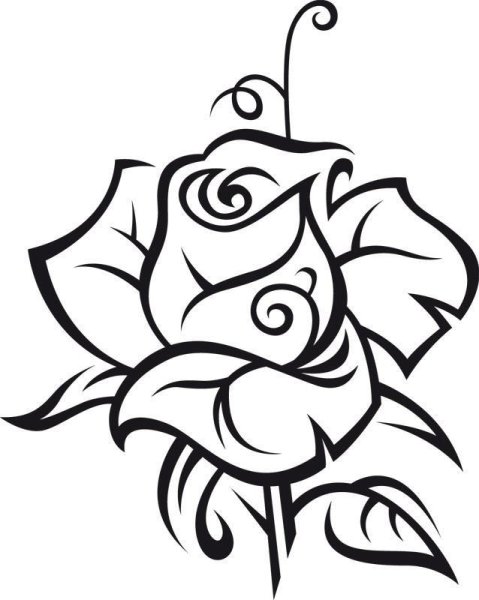 Черно белые картинки цветов для распечатки