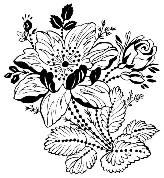 Контурные рисунки цветов