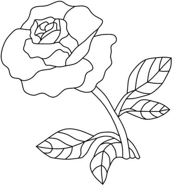 Контурные рисунки цветов