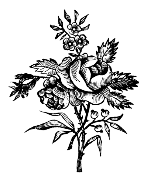 Узоры для выжигания цветы