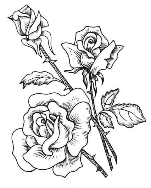 Раскраска букет роз