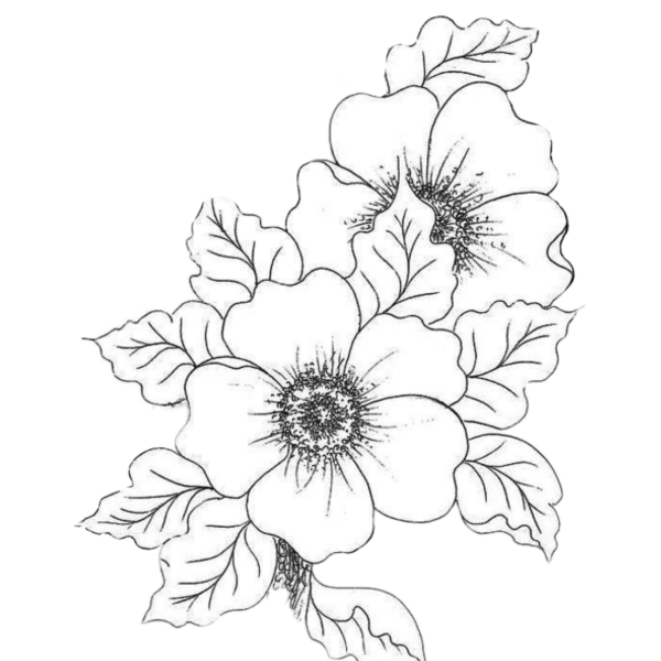 Трафарет розы для вырезания