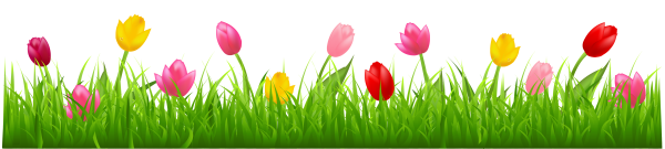 Цветочки в ряд